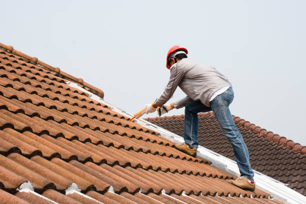 Best Roof Ventilation Installation  in Leander, TX